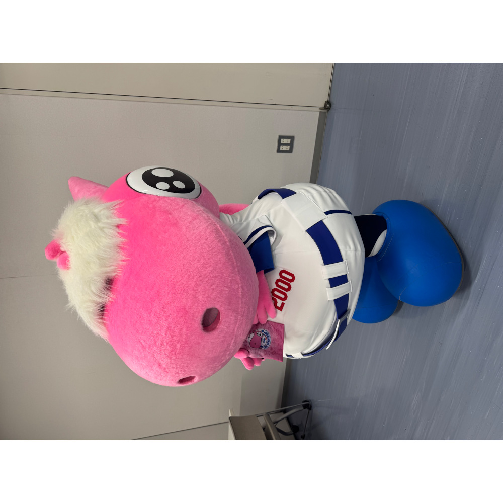 パオロン25周年巾着
