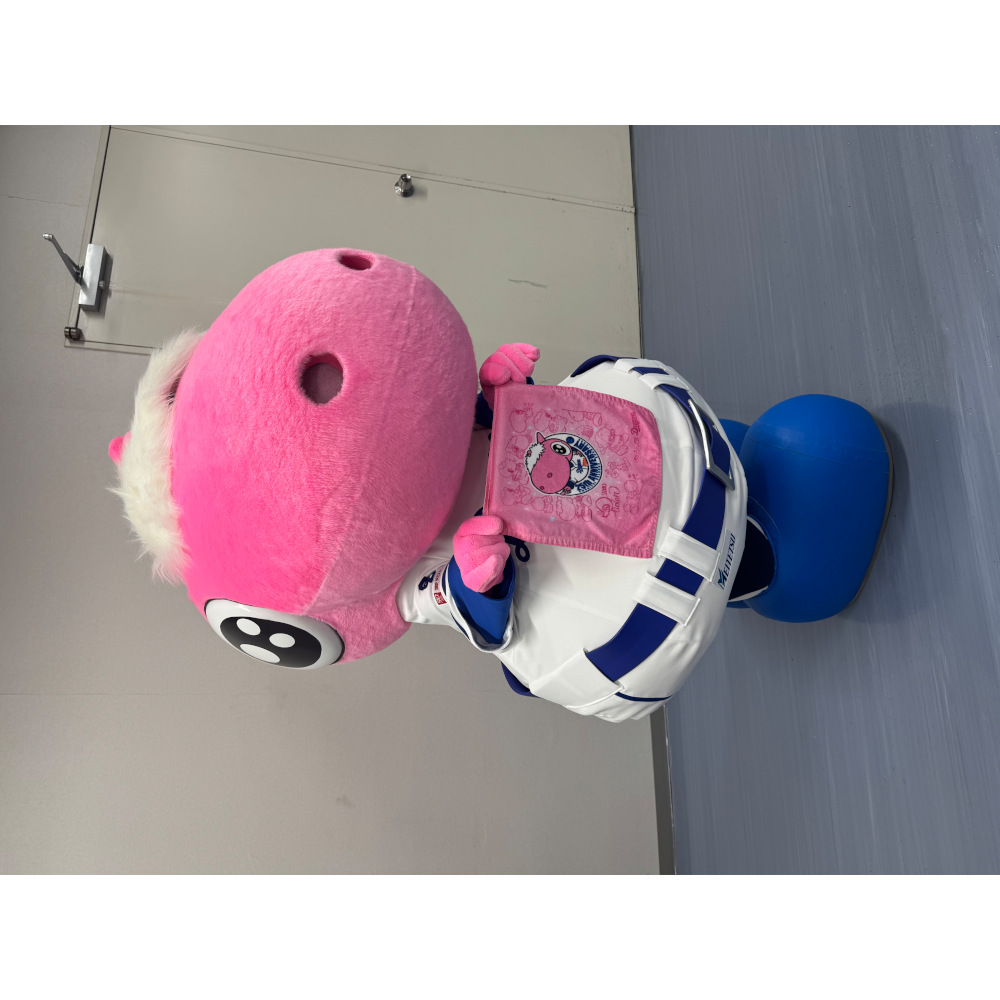 パオロン25周年ハンドタオル