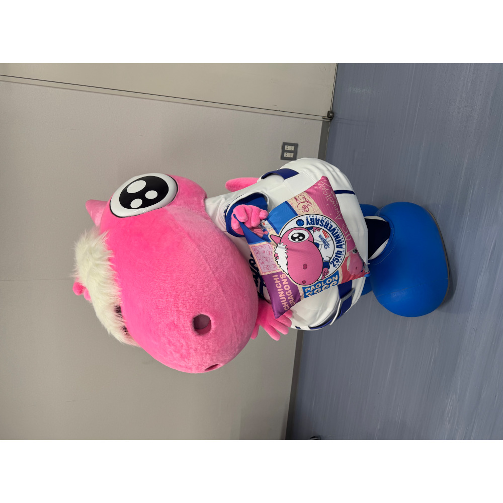 パオロン25周年クッション