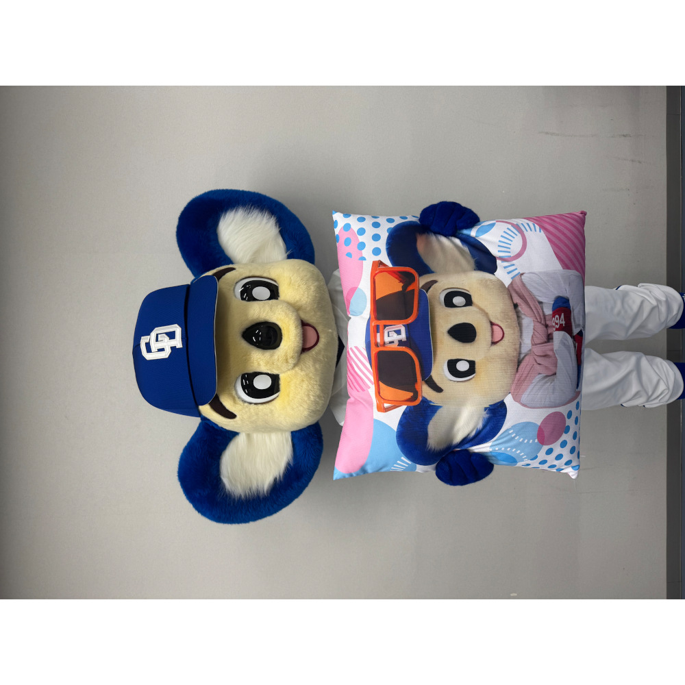 プロデューサードアラクッション