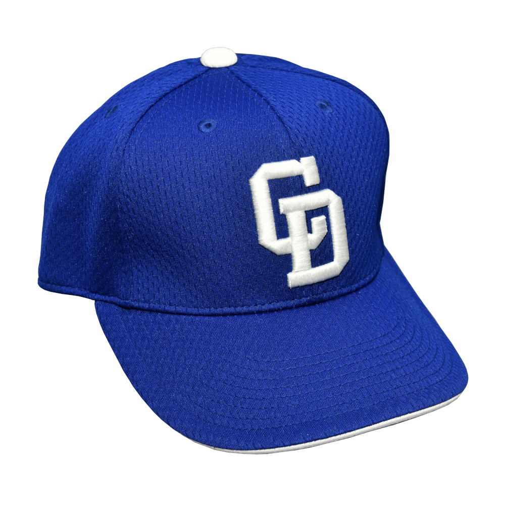 プロモデルキャップ ホーム26