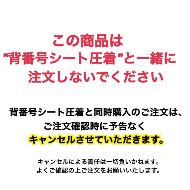 昇竜（秀吉・家康・信長）レプリカフルセット26
