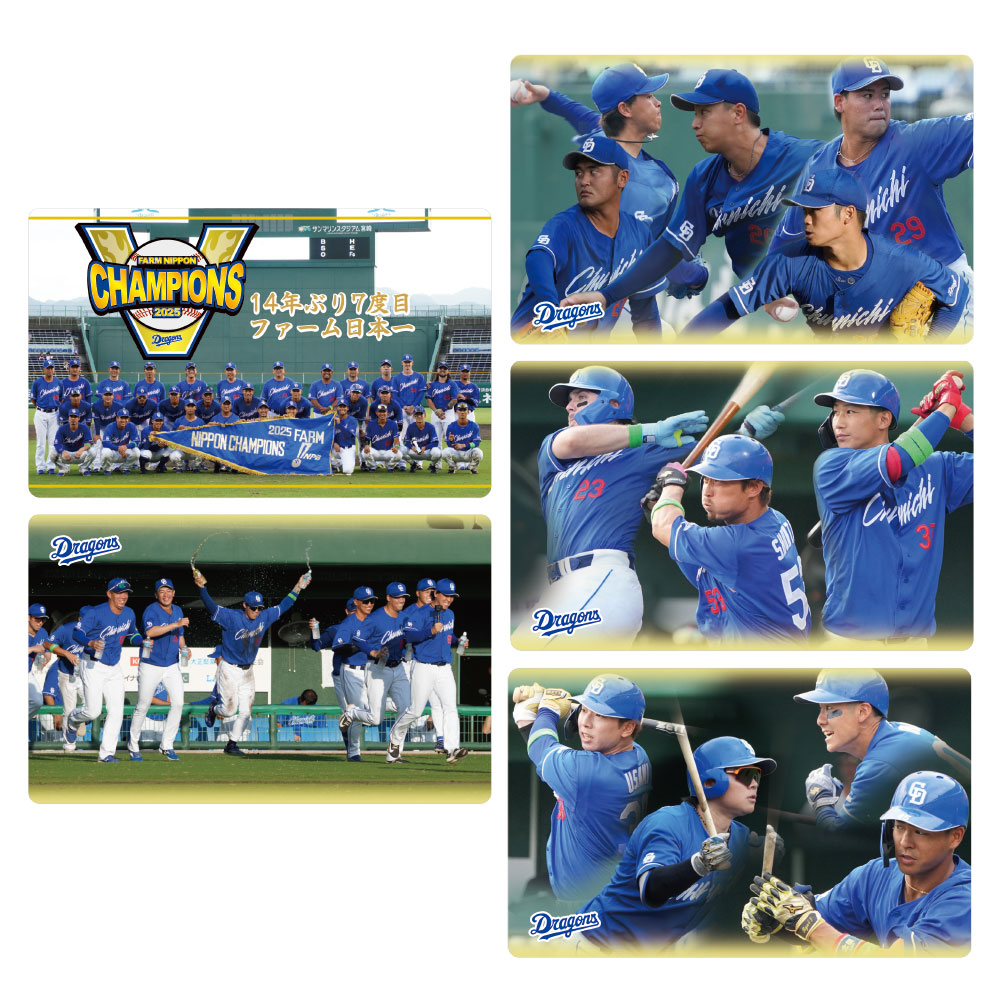 2025ファーム日本一記念ステッカーセット | 中日ドラゴンズ