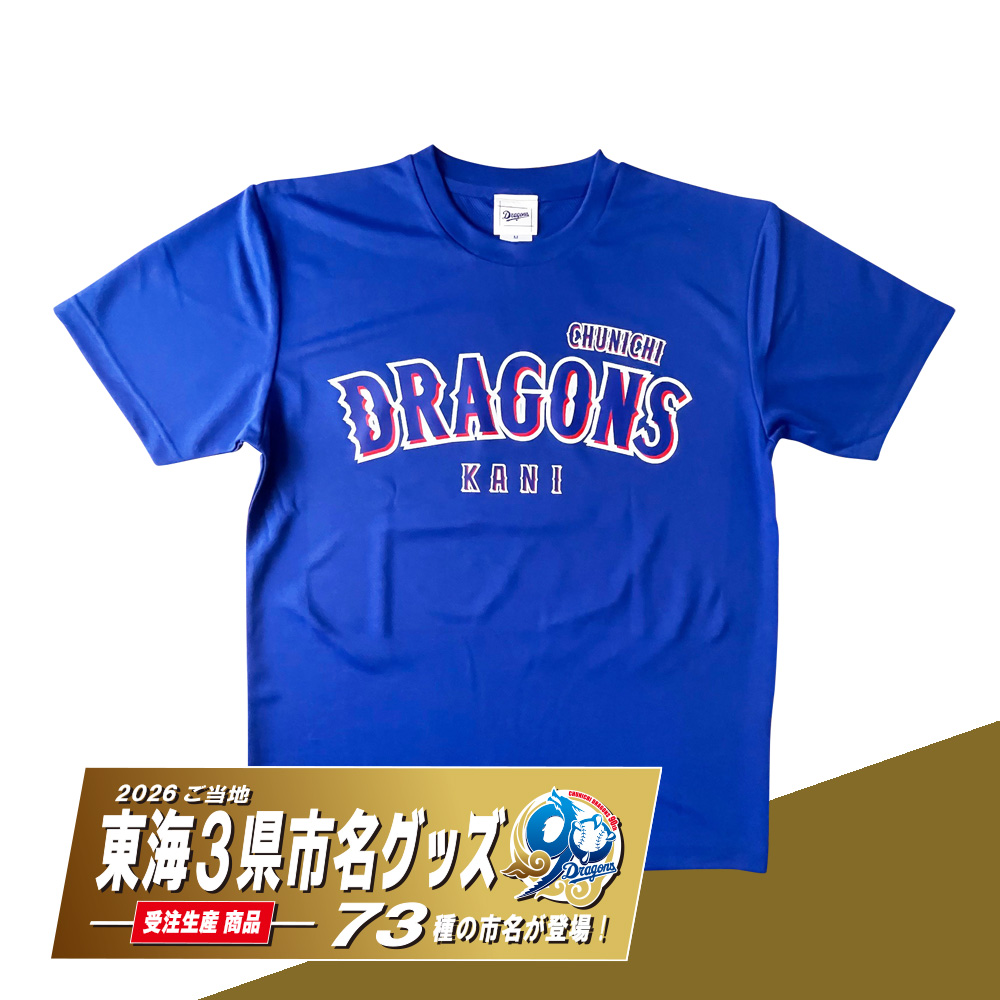 ご当地東海3県市名90thTシャツ(全73種) ブルー