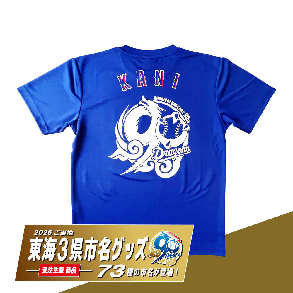 ご当地東海3県市名90thTシャツ(全73種) ブルー