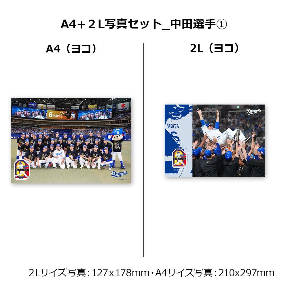 引退選手記念フォト（A4+2Lセット）