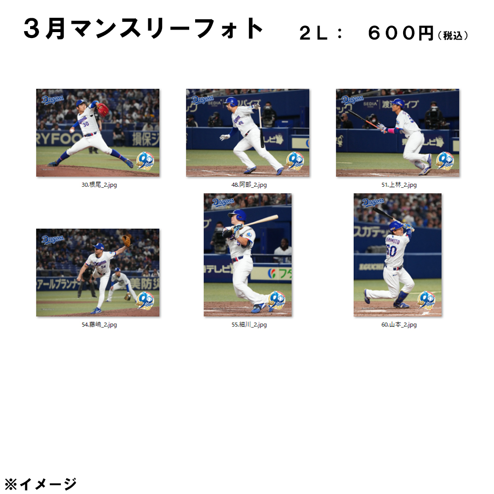 2026年3月マンスリーフォト② 2L