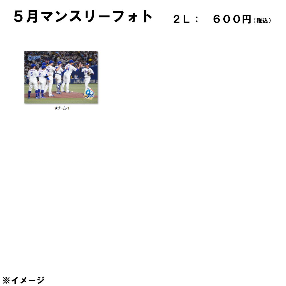 2026年5月マンスリーフォト2L_チーム