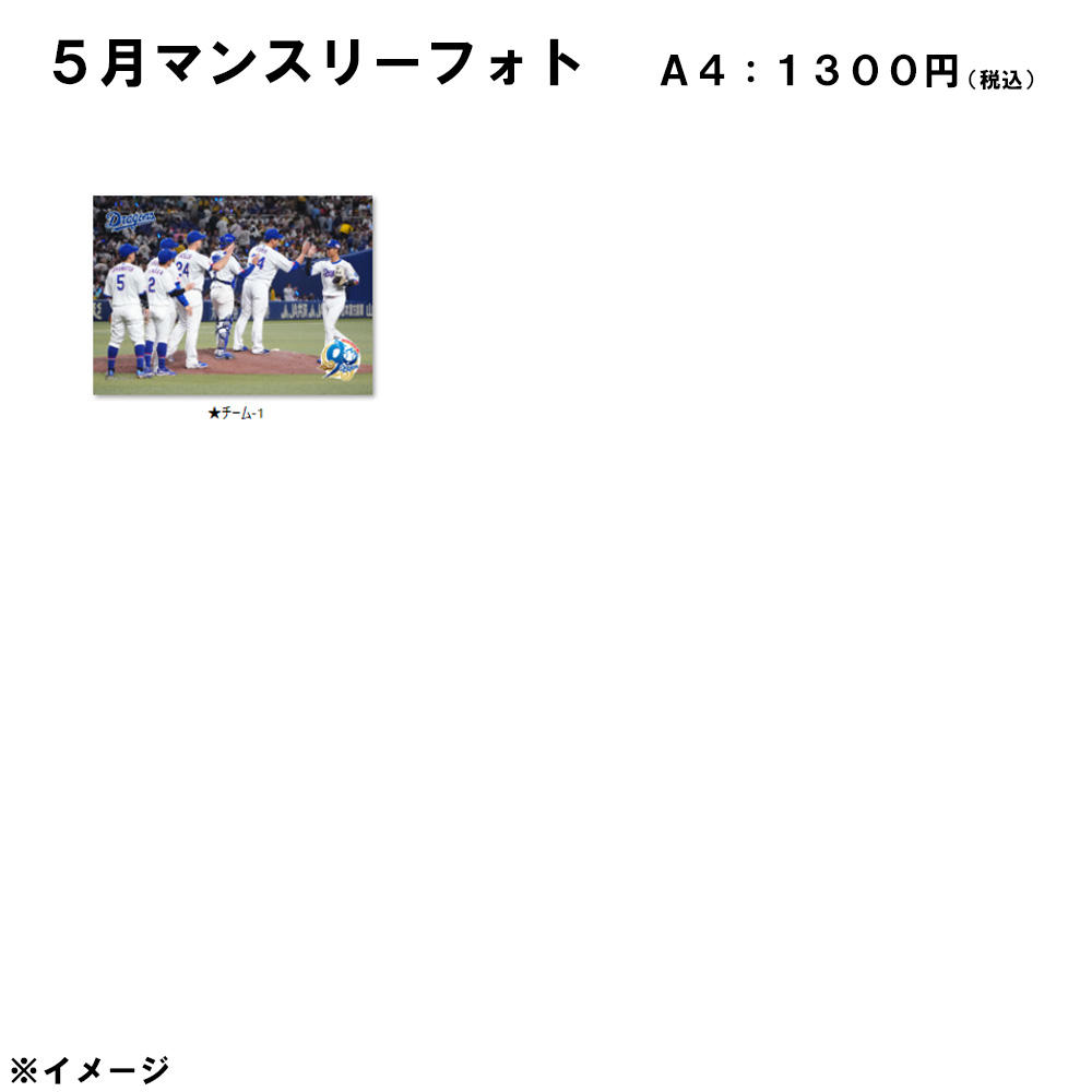 2026年5月マンスリーフォトA4_チーム