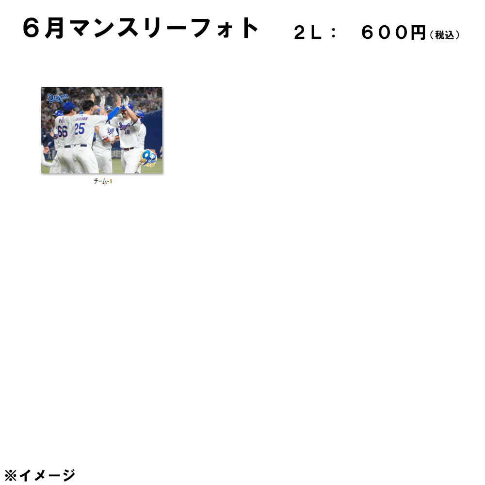 2026年6月マンスリーフォト2L_チーム