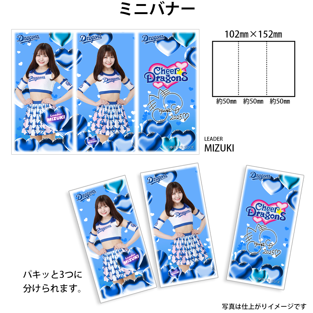 チアドラゴンズ2025ミニバナー